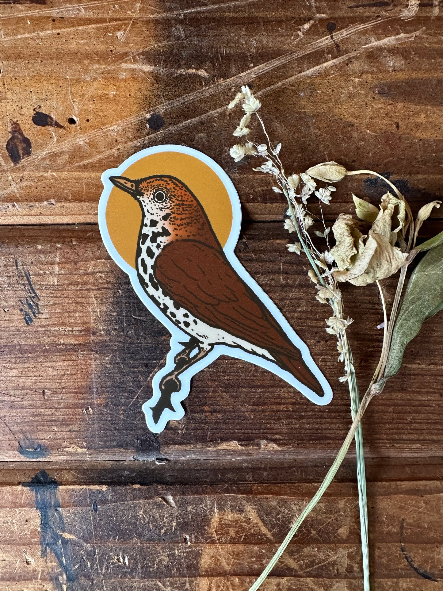 Landing Sticker