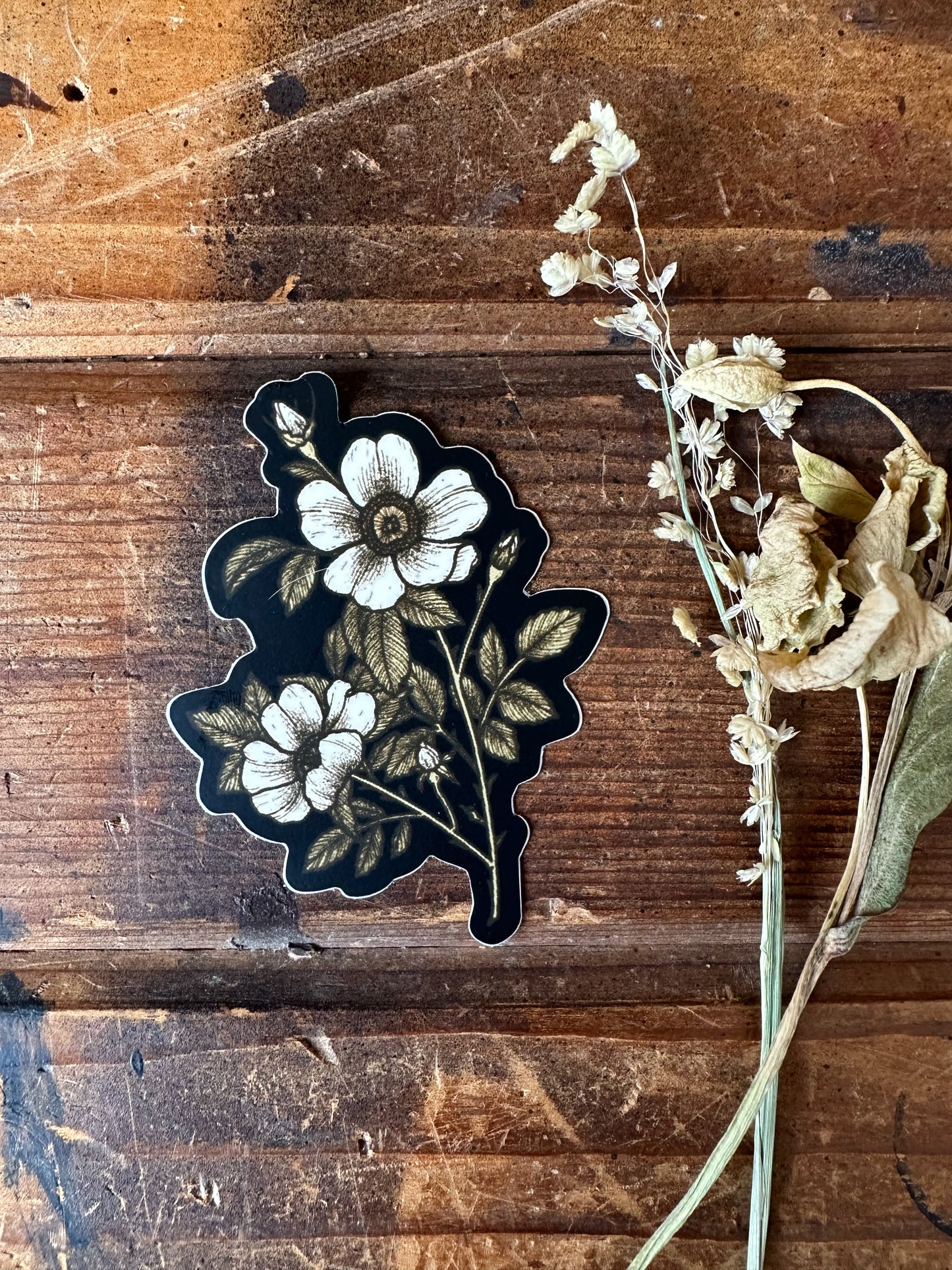 Briar Rose Sticker