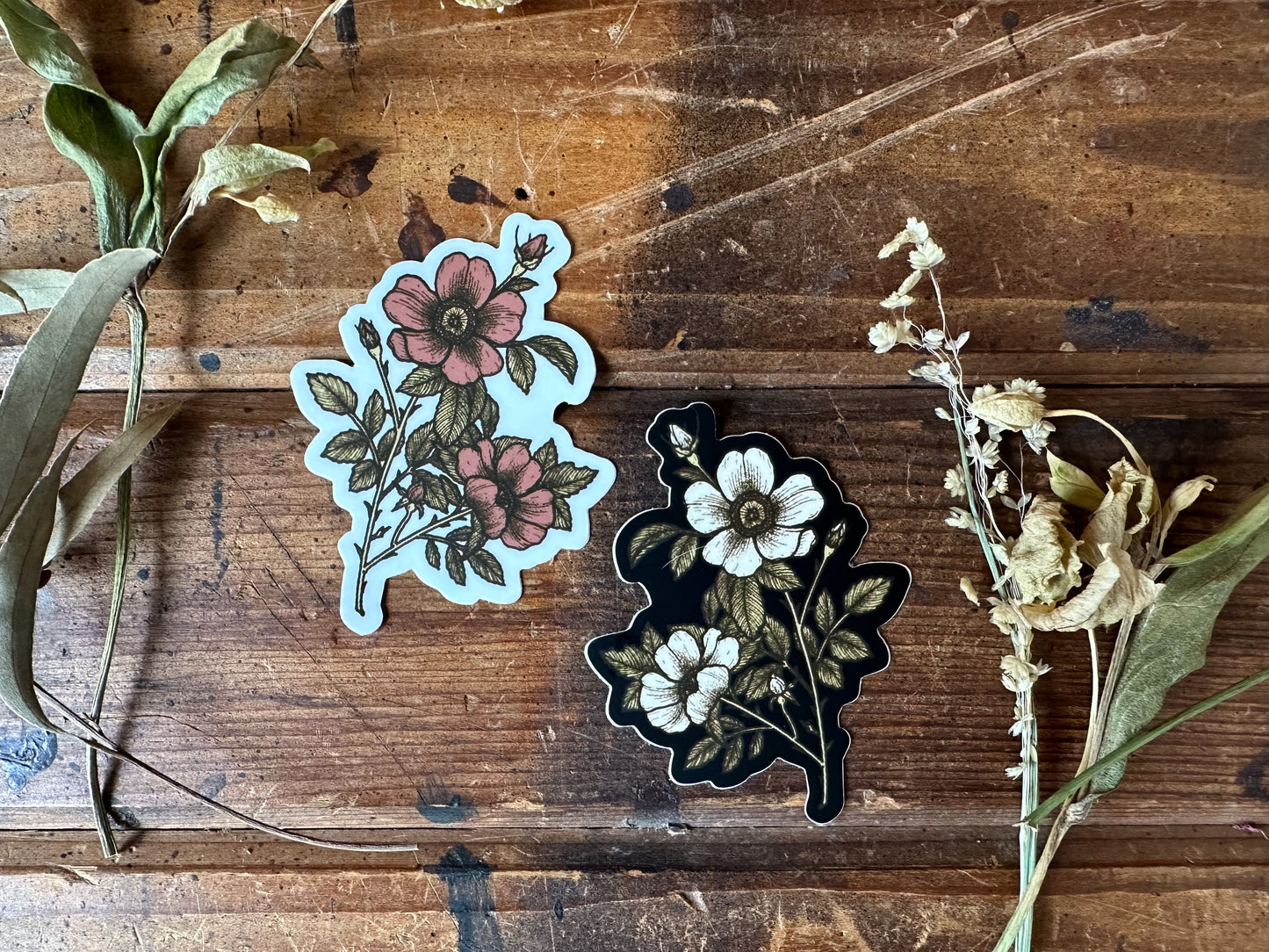 Briar Rose Sticker